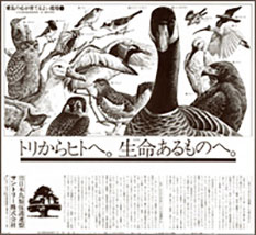 First Save the Birds! Campaign newspaper ad