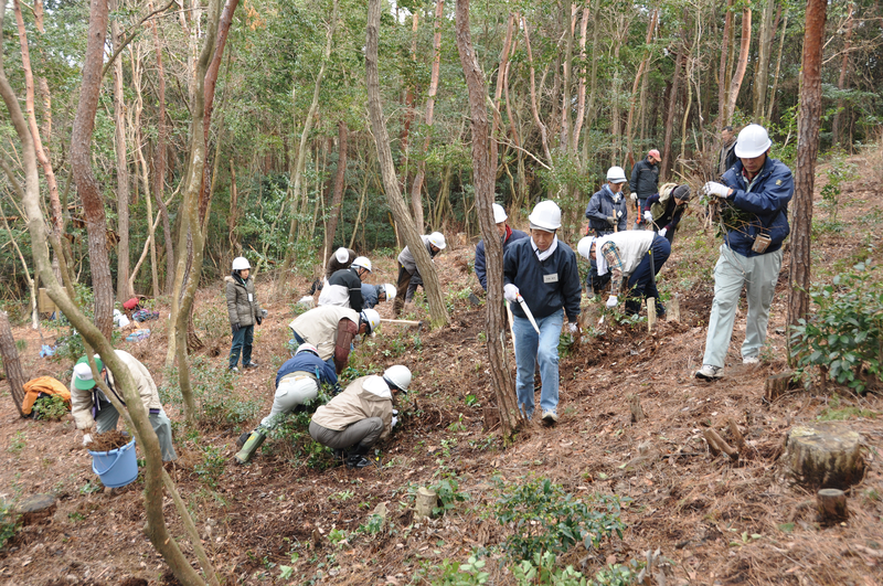Evergreen trees are cut down to improve light conditions and promote growth of understory vegetation typically found in deciduous forests. Suntory also provides forest management program to approximately 7,000 employees in Group companies in Japan.