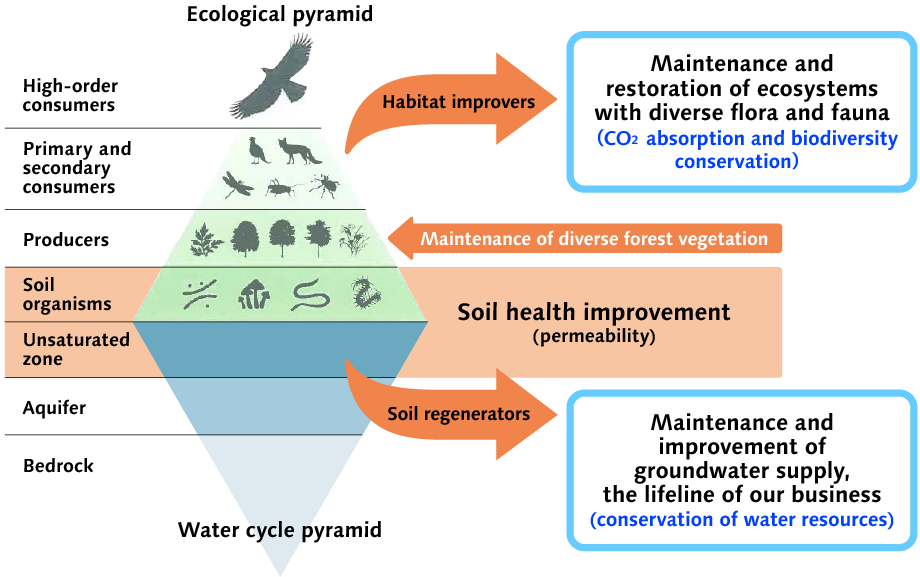 Ecological pyramid & Water cycle pyramid